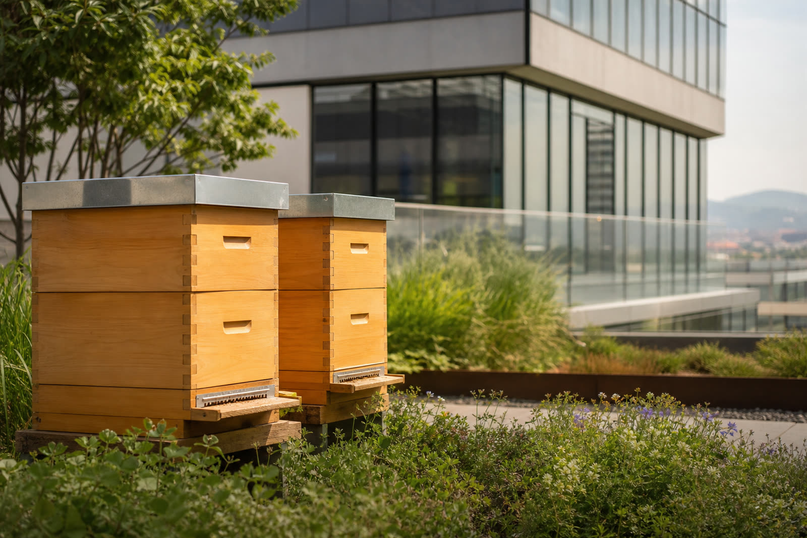 Bienenprojekt auf einem ruhigen Firmengelände